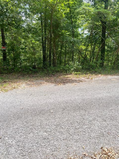 0.29ac lot Horseshoe Bend, AR