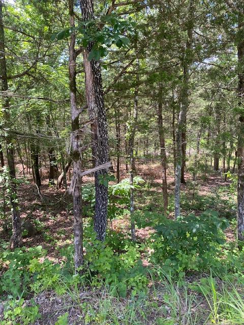 0.42-acre lot at 1003 Mississippi Ln, Horseshoe Bend, Arkansas – Hopson Land Investments