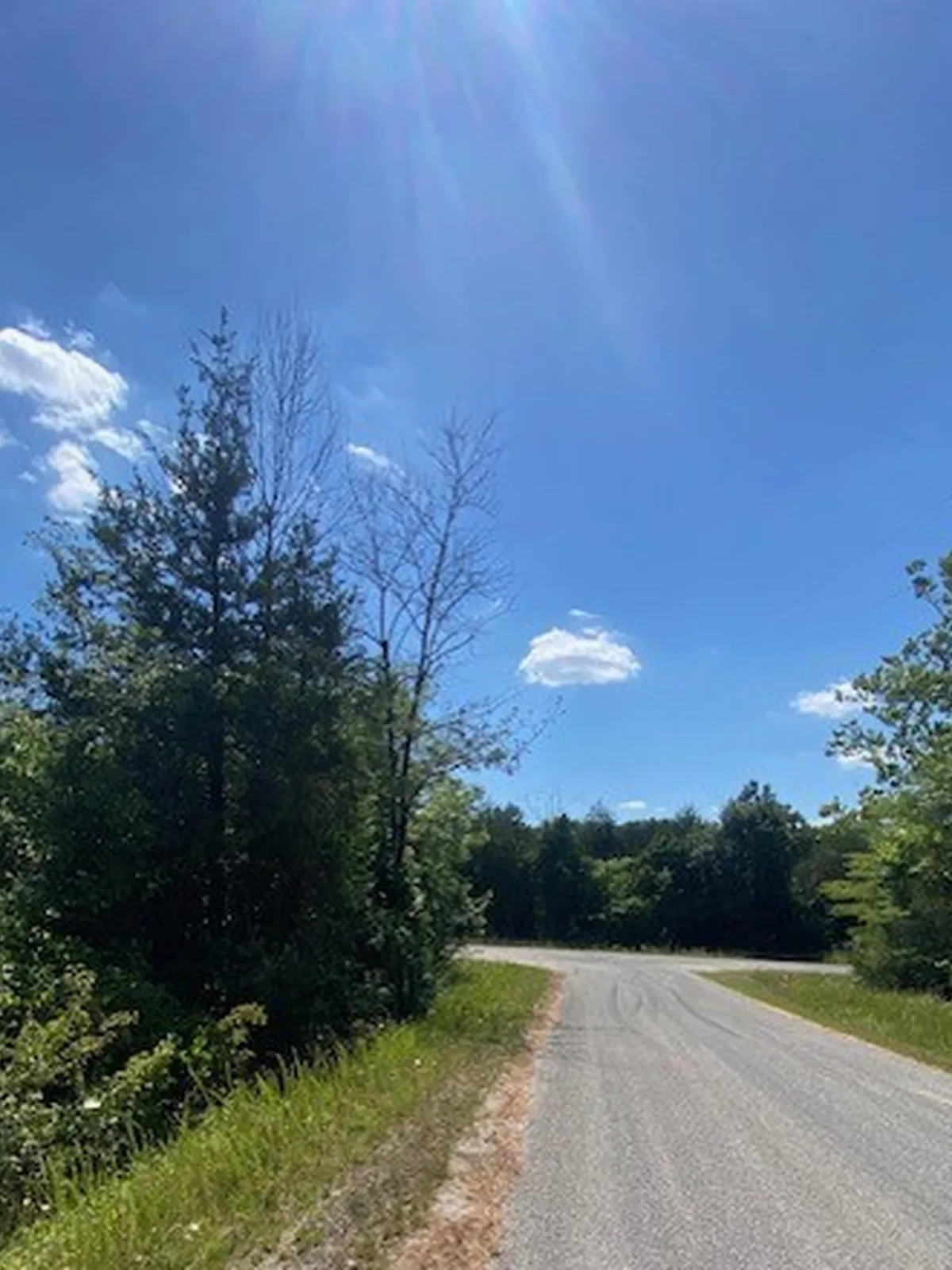 0.30 acre lot at 707 Austin Road, Horseshoe Bend, Arkansas – Hopson Land Investments