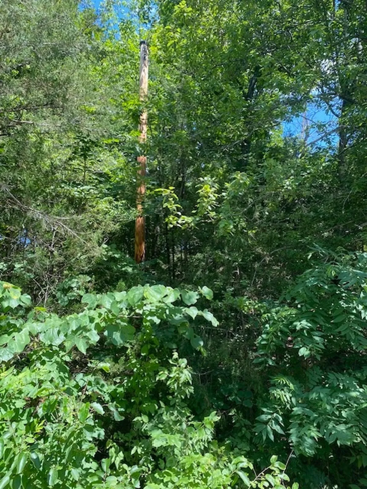 0.44-acre lot at 103 Topeka Ln, Horseshoe Bend, Arkansas – Hopson Land Investments