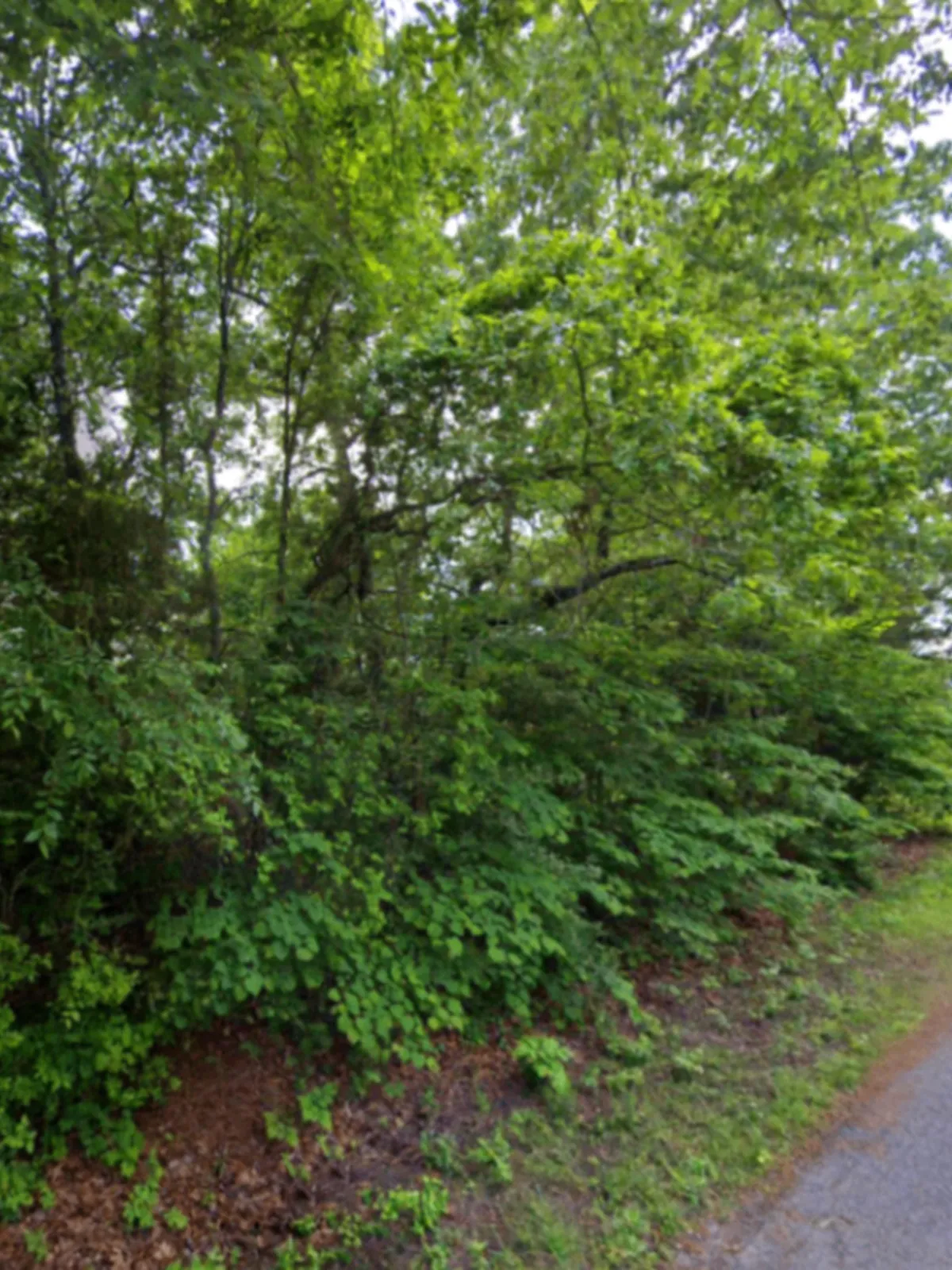 0.37-acre lot at 909 Twin Points, Horseshoe Bend, Arkansas – Hopson Land Investments