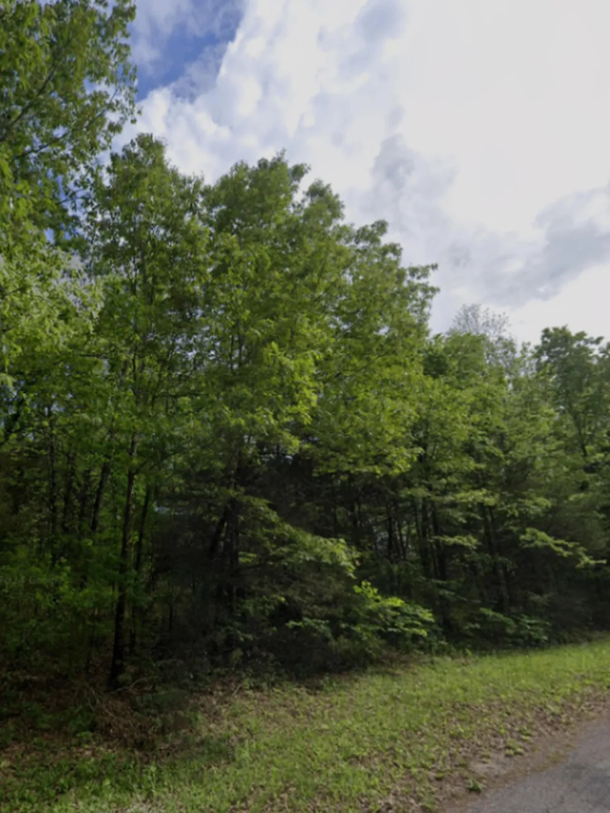 0.36-acre lot at 805 Indianapolis Ave, Horseshoe Bend, Arkansas – Hopson Land Investments