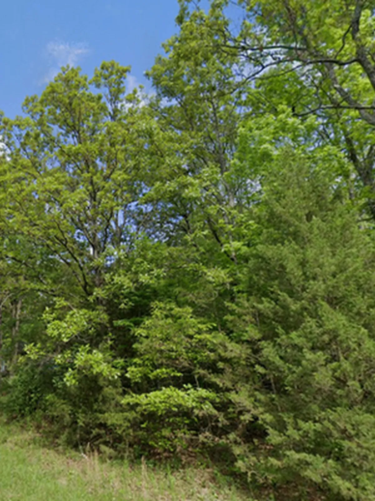 0.33-acre lot at 809 Indianapolis Ave , Horseshoe Bend, Arkansas – Hopson Land Investments