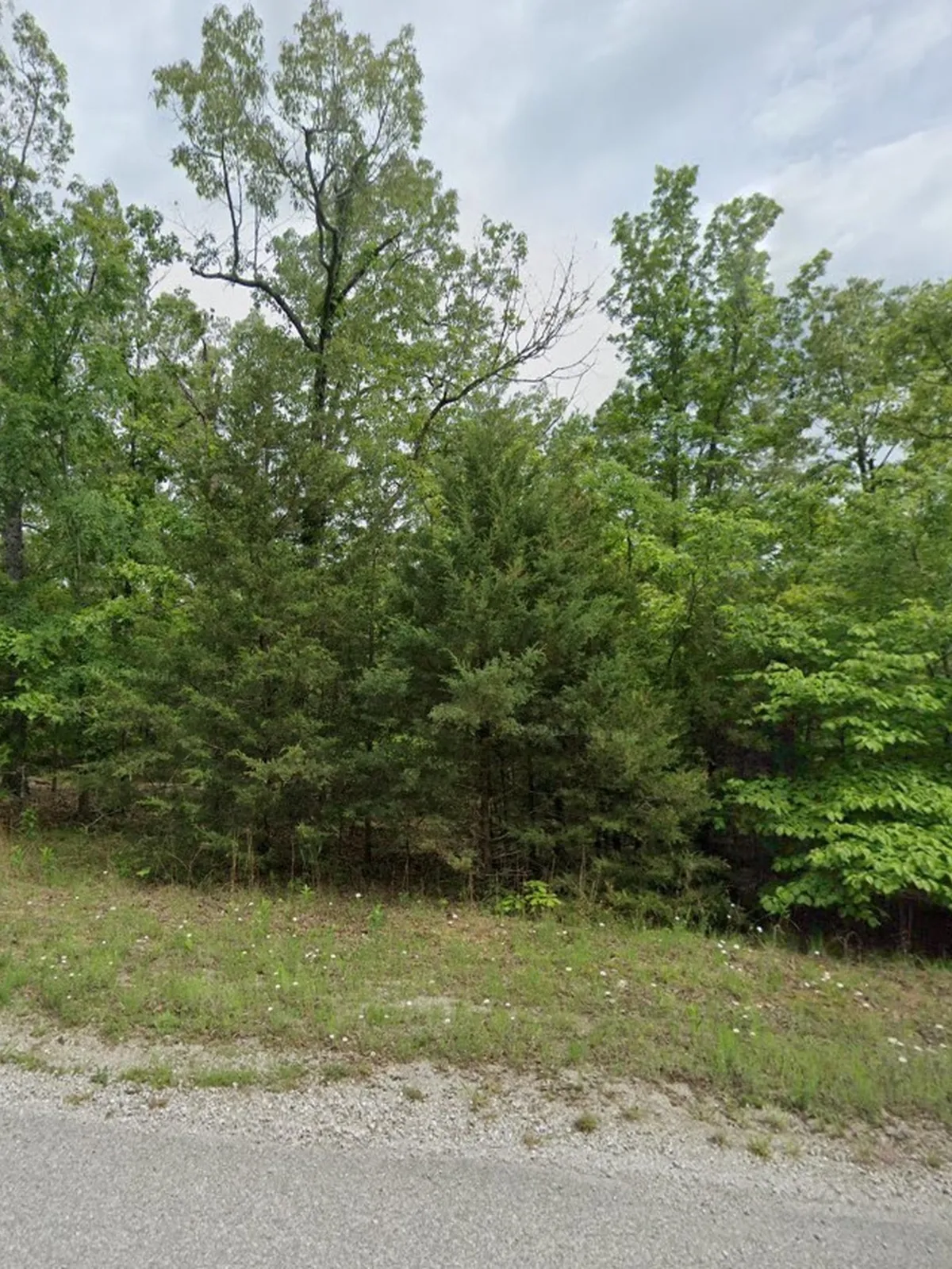 0.33-acre lot at 809 Indianapolis Ave , Horseshoe Bend, Arkansas – Hopson Land Investments