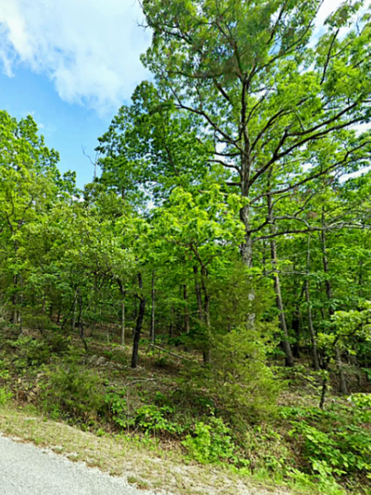 0.34-acre lot at 1107 E Edgewated Rd , Horseshoe Bend, Arkansas – Hopson Land Investments