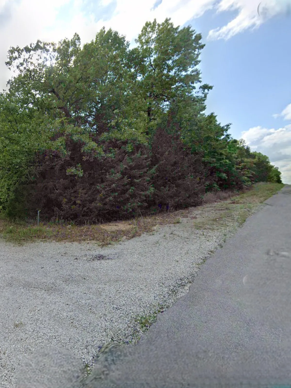 0.34-acre lot at Washington Dr, Horseshoe Bend, Arkansas – Hopson Land Investments