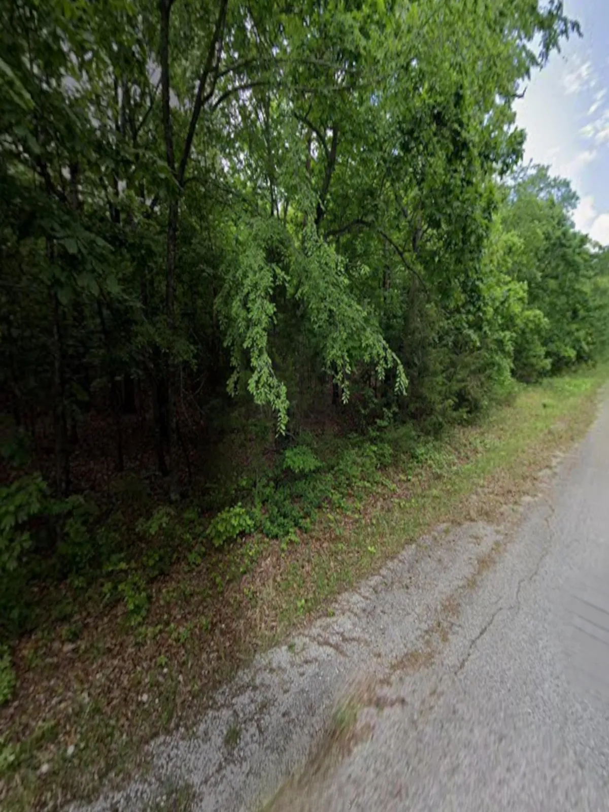 0.39-acre lot at 1203 Kansas Road S, Horseshoe Bend, Arkansas – Hopson Land Investments