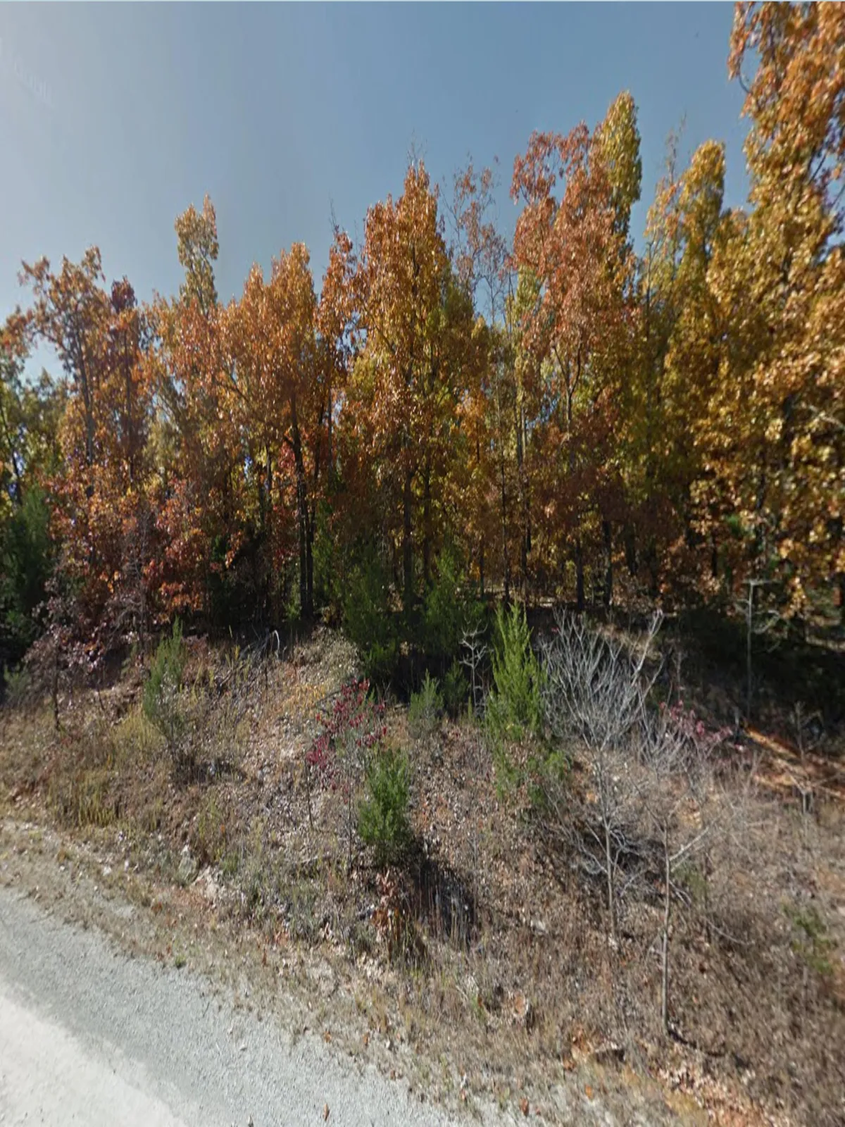 0.33-acre lot at 1313 Executive Dr , Horseshoe Bend, Arkansas – Hopson Land Investments