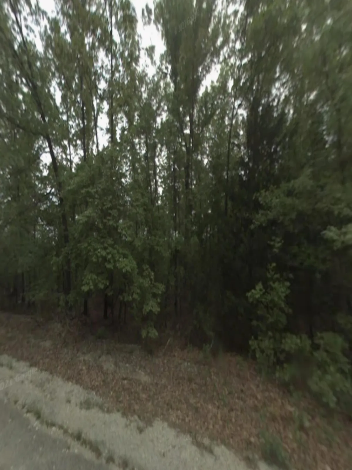 0.31-acre lot at 1112 Indianapolis Ave, Horseshoe Bend, Arkansas – Hopson Land Investments