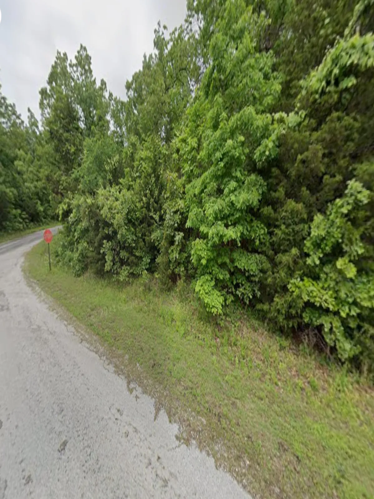 0.35-acre lot at 1110 East Iowa Ln, Horseshoe Bend, Arkansas – Hopson Land Investments