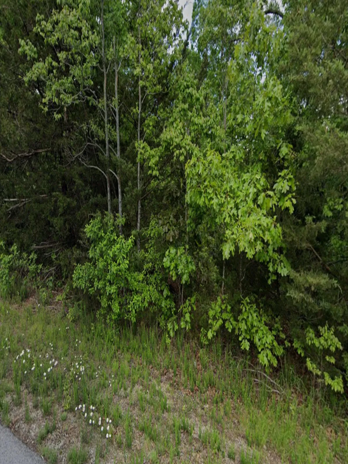 0.41-acre lot at 1108 Little Rock Rd S, Horseshoe Bend, Arkansas – Hopson Land Investments