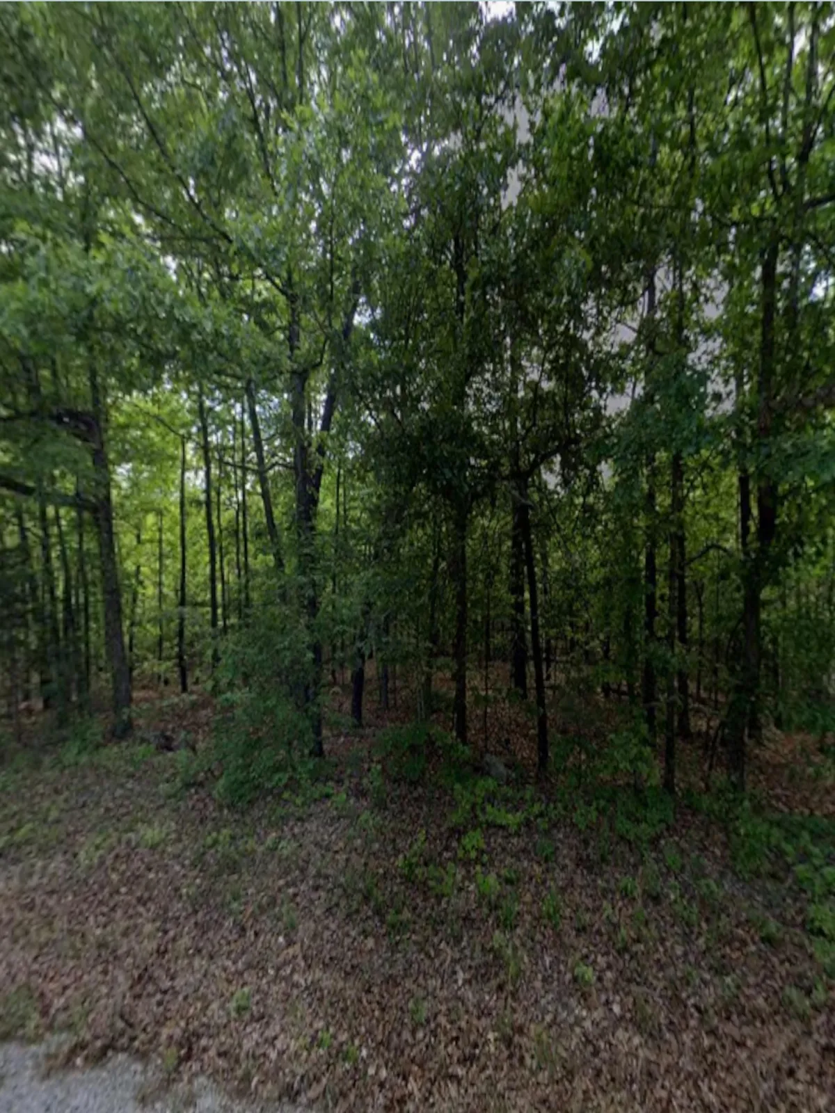 0.30 Acre Lot – 703 Larkspur Ln, Horseshoe Bend, AR 72512