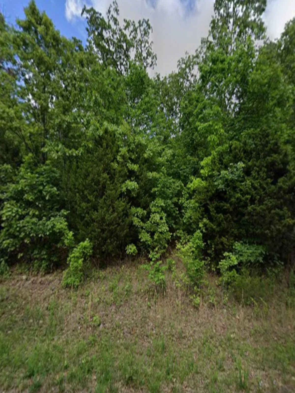 0.35 Acre Lot – 1004 Michigan Ave S, Horseshoe Bend, AR 72512