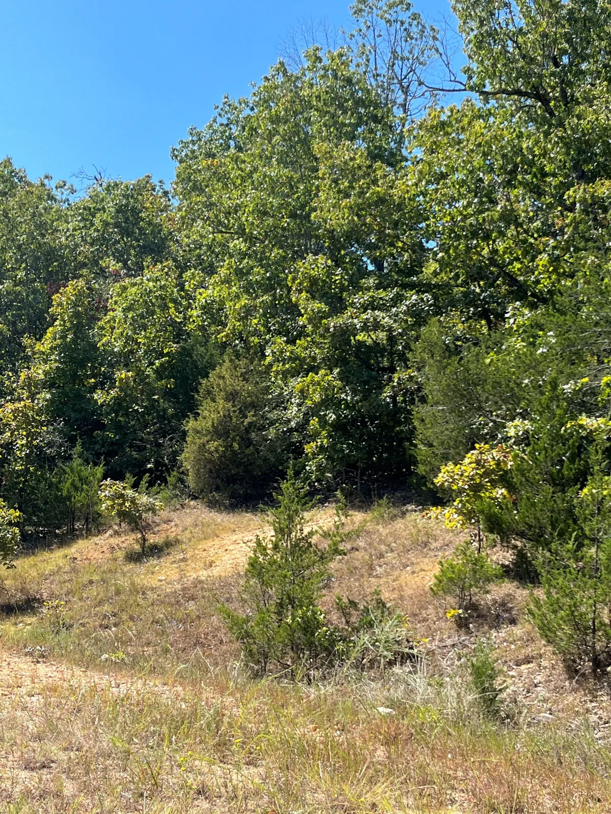 0.5-acre lot at 1005 Pinedridge Dr S, Horseshoe Bend, Arkansas – Hopson Land Investments