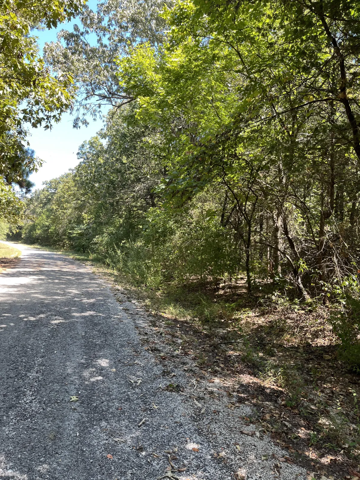 0.3 Acre Lot – 807 Illinois Ave, Horseshoe Bend, AR 72512