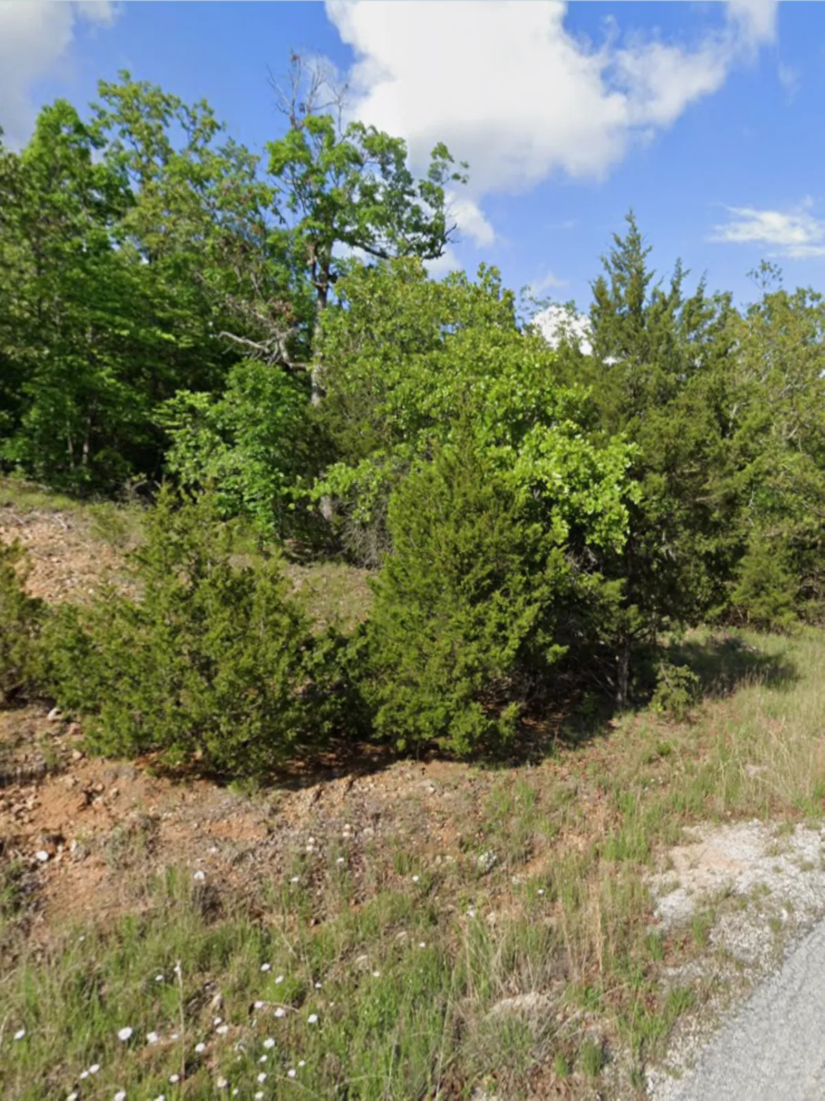 0.4-acre lot at 907 Lynwood Ave, Horseshoe Bend, Arkansas – Hopson Land Investments