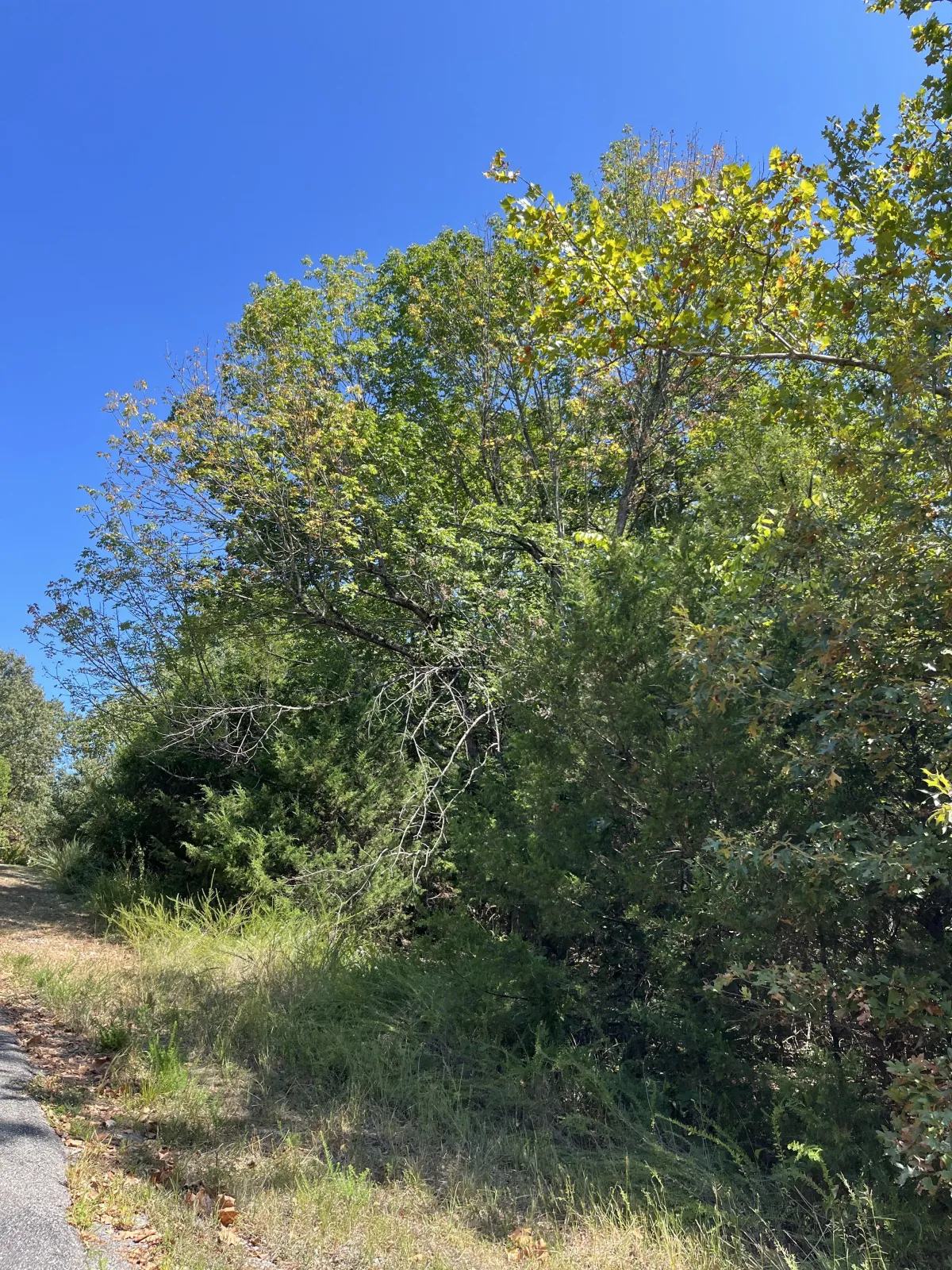 0.36-acre lot at 807 Twin Points, Horseshoe Bend, Arkansas – Hopson Land Investments