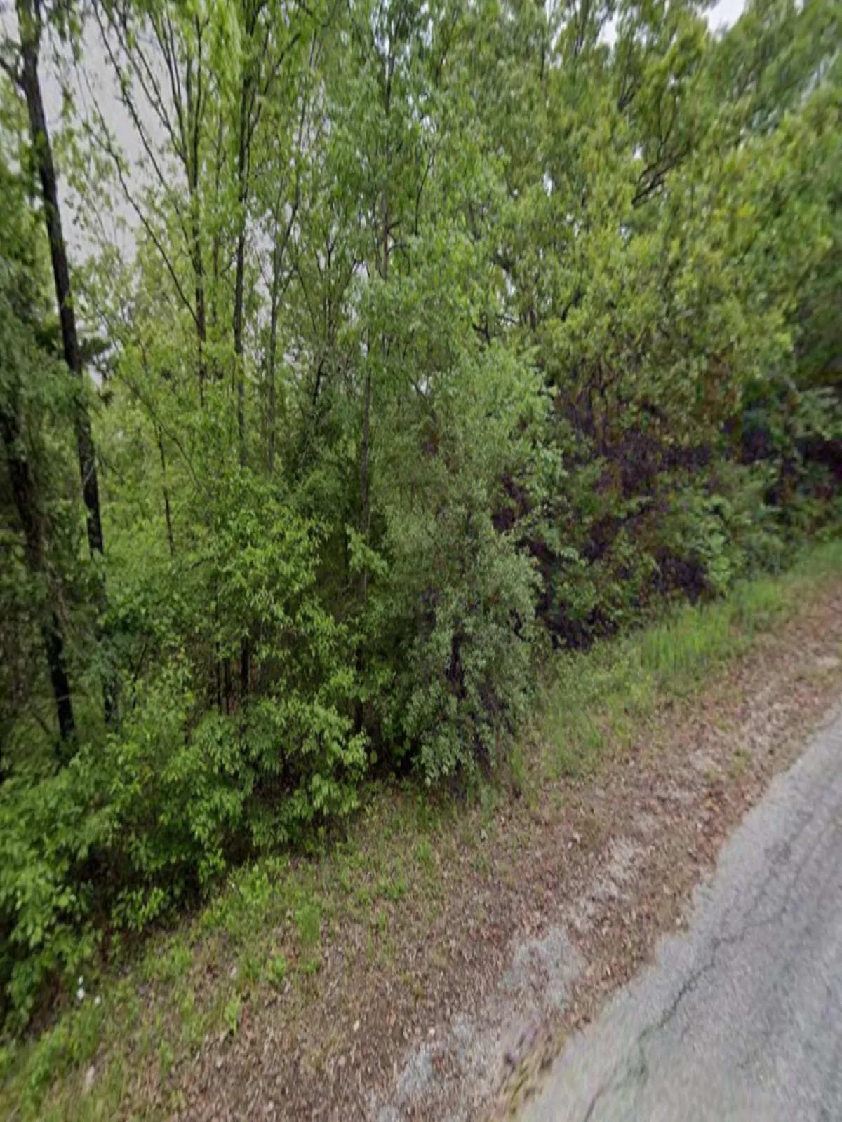 0.41-acre lot at 801 Lansing Ave E, Horseshoe Bend, Arkansas – Hopson Land Investments