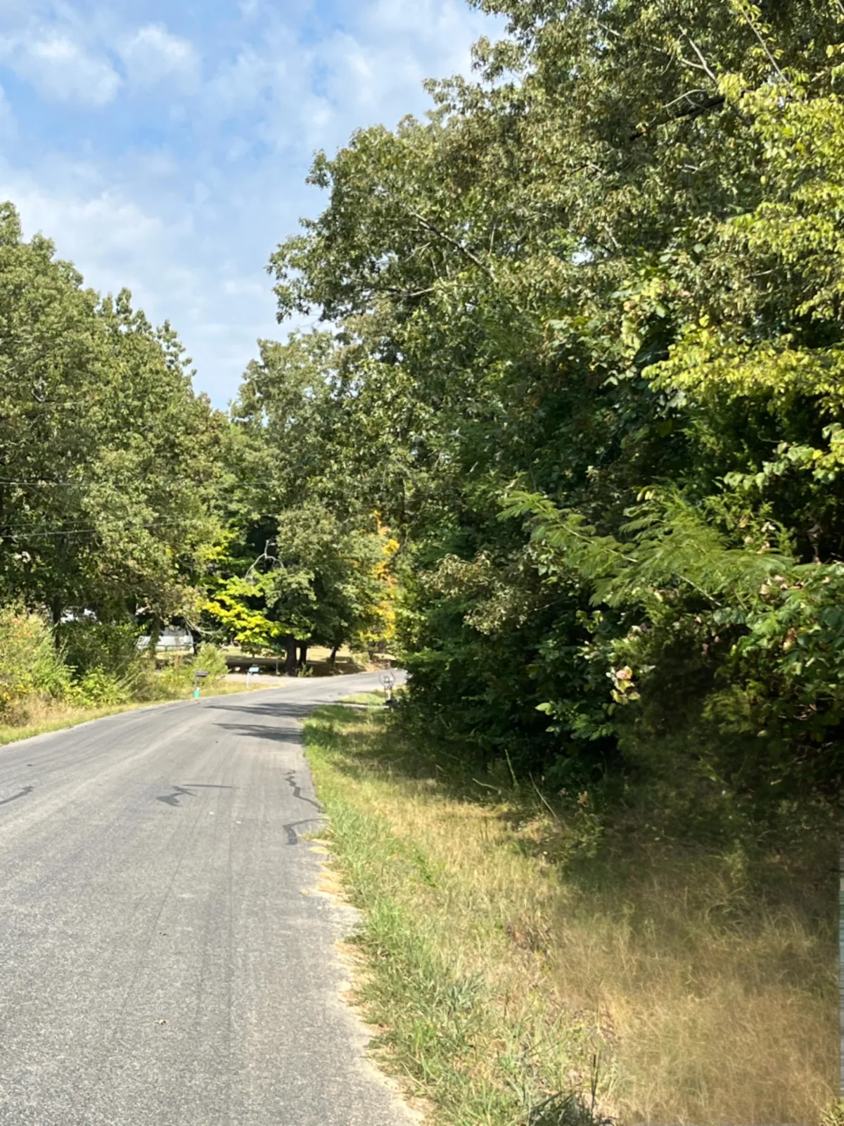 0.33-acre lot at 1102 Peridot Ln, Horseshoe Bend, Arkansas – Hopson Land Investments