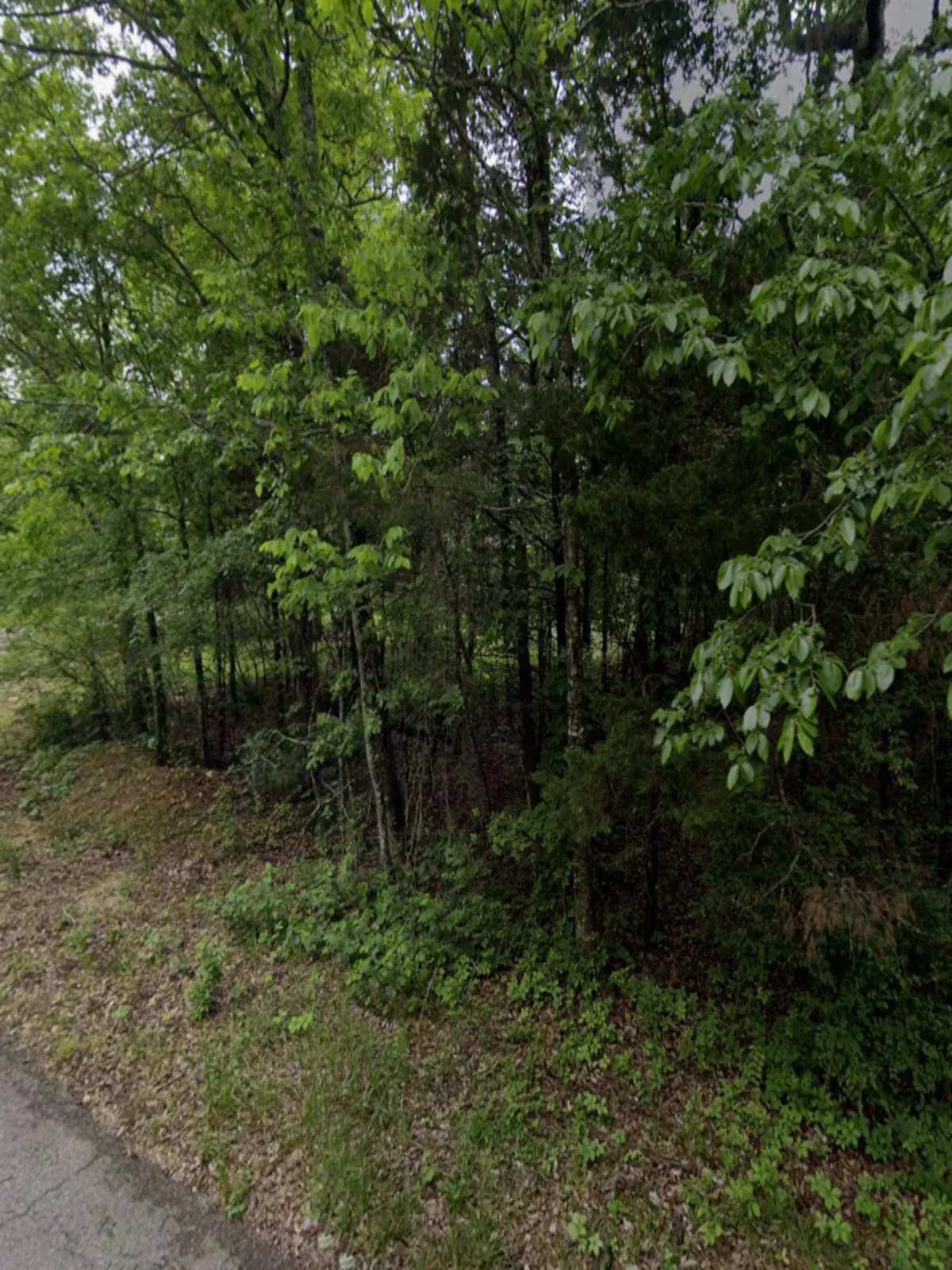 0.4-acre lot at 409 Mohawk Dr N, Horseshoe Bend, Arkansas – Hopson Land Investments