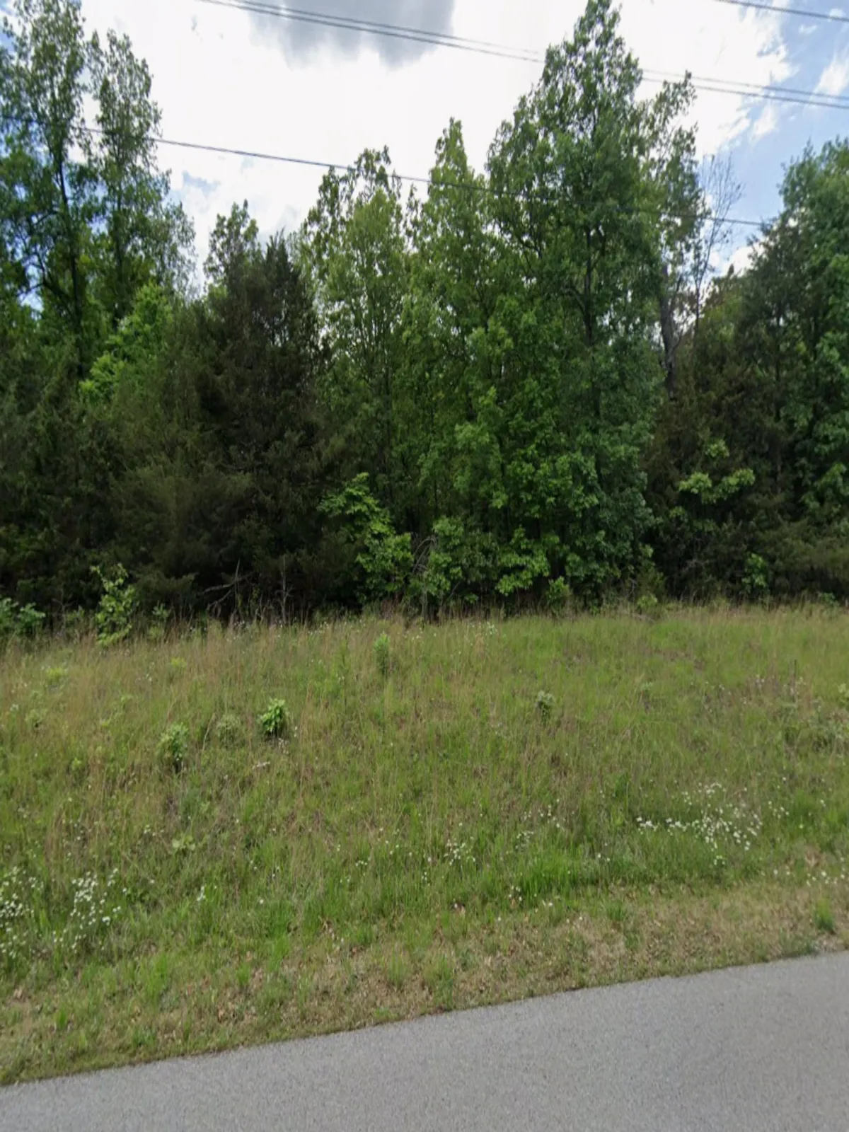 0.41-acre lot at 1101 Little Rock Rd S, Horseshoe Bend, Arkansas – Hopson Land Investments
