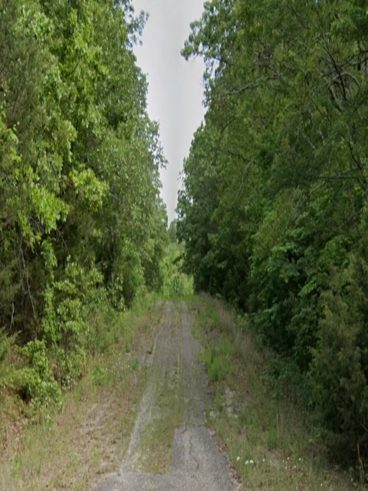 0.4-acre lot at 1005 Mississippi Ln, Horseshoe Bend, Arkansas – Hopson Land Investments