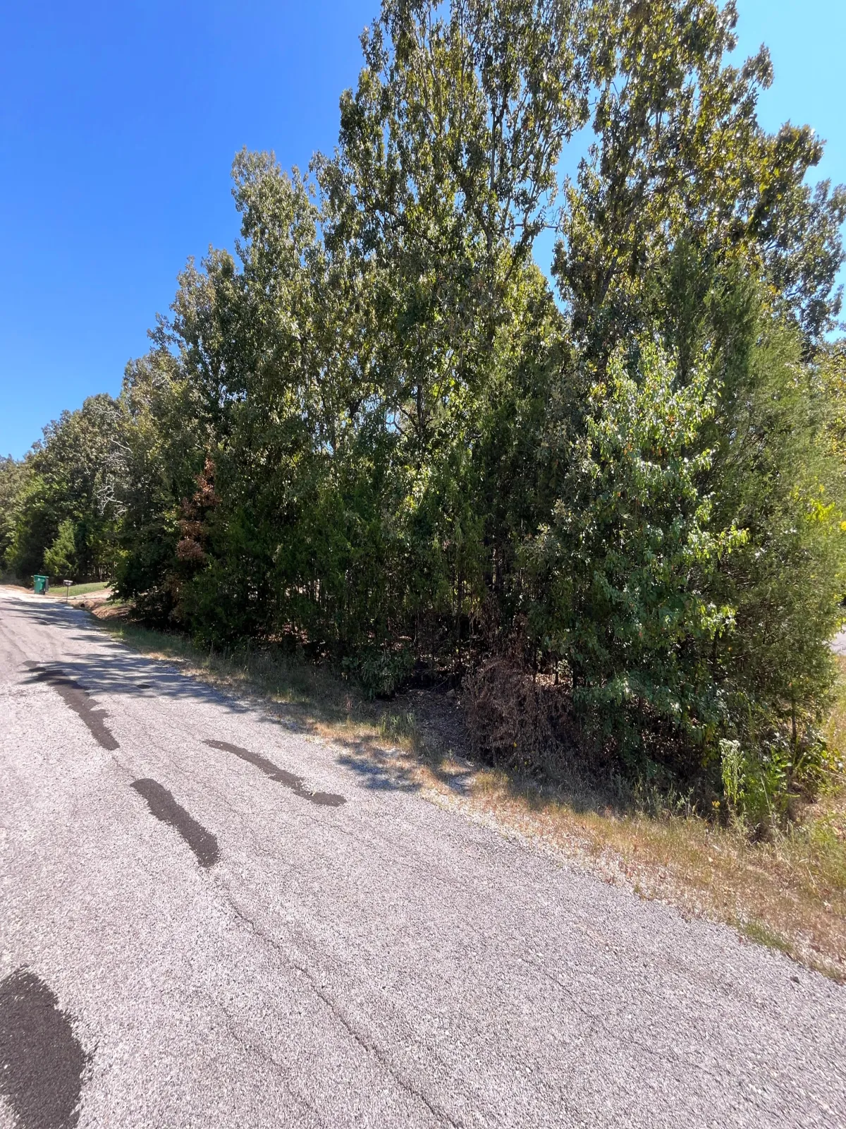 0.43-acre lot at 1001 Indianapolis, Horseshoe Bend, Arkansas – Hopson Land Investments