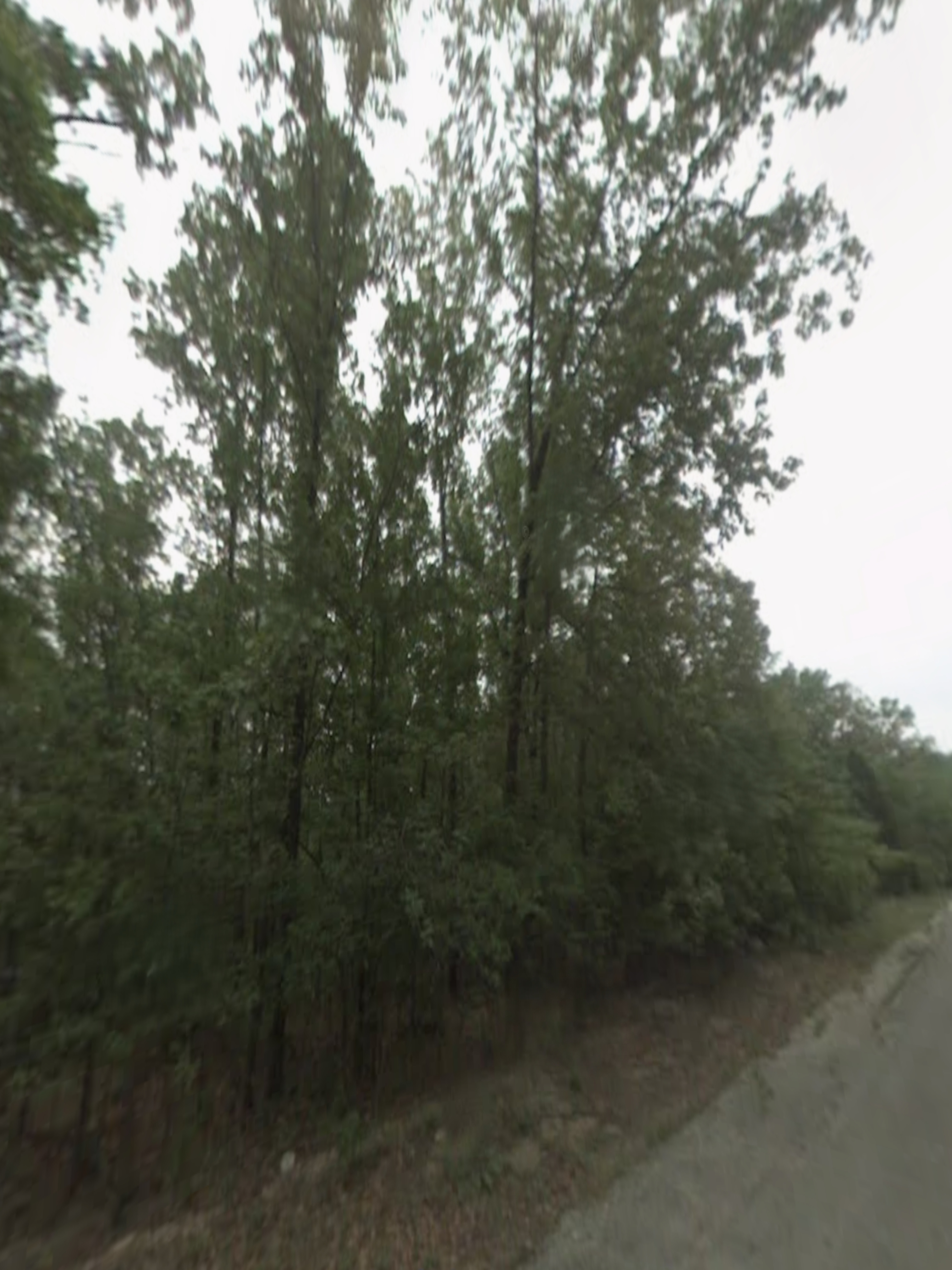 0.3-acre lot at 1108 Indianapolis Ave, Horseshoe Bend, Arkansas – Hopson Land Investments