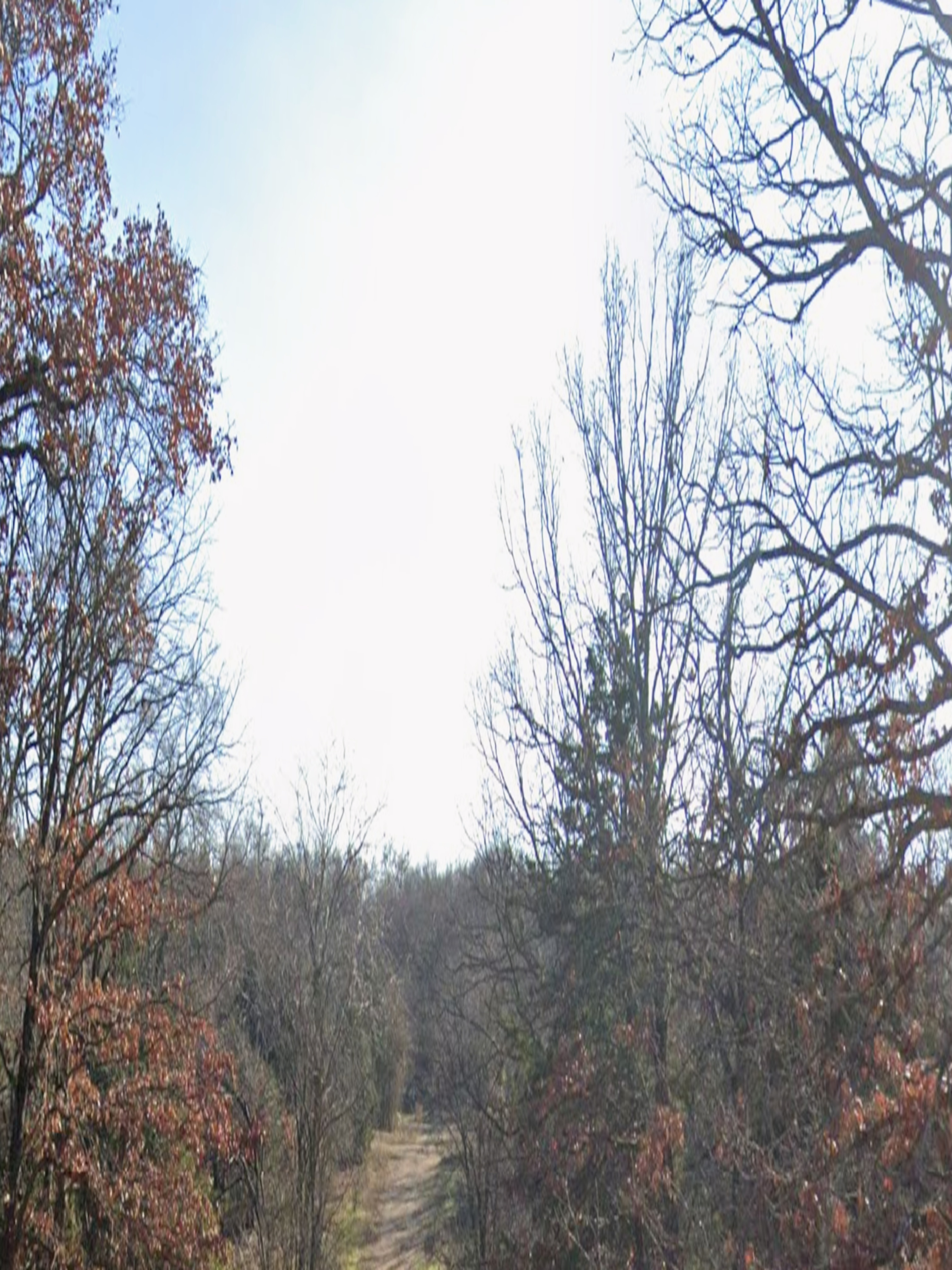 Lake Tenkiller Harbor Lot 419 | Park Hill OK Land | Owner Financing