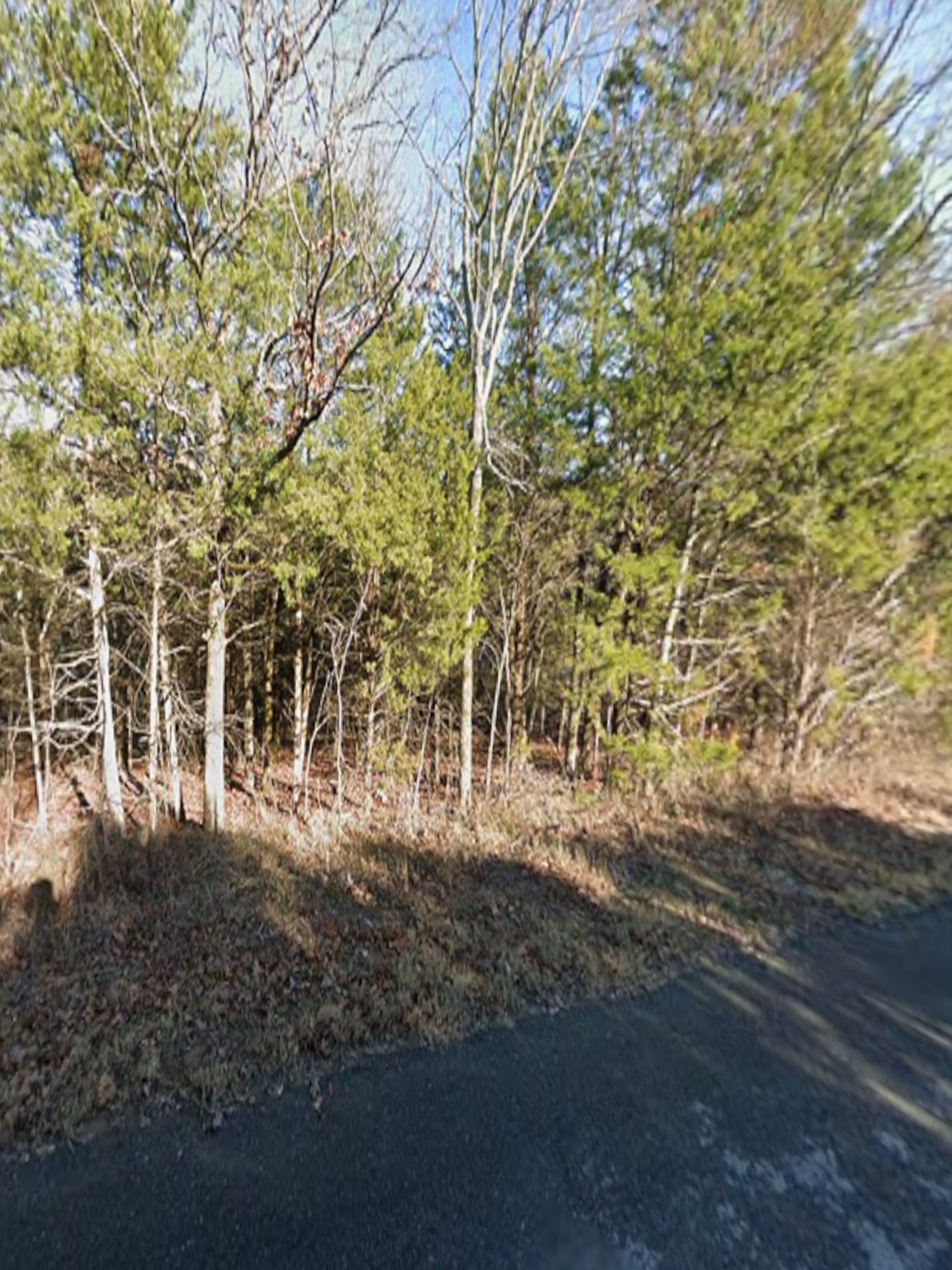 Lake Tenkiller Harbor Lot 229 | Park Hill OK Land | Owner Financing