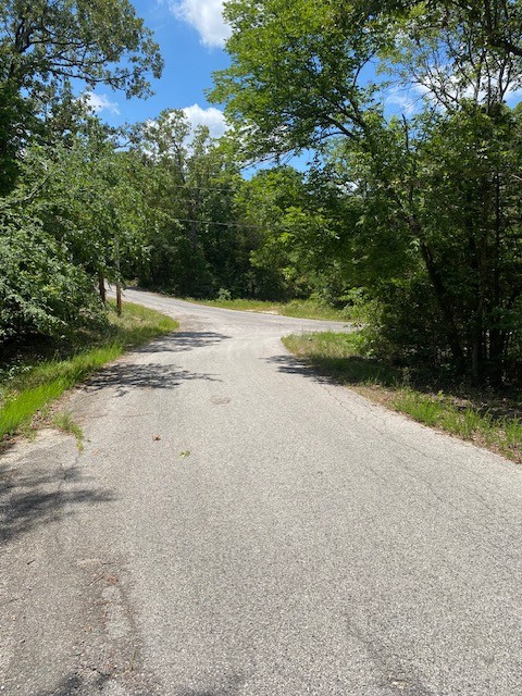 0.49-acre lot at Izard County, AR - 402 S Twin Lake Dr, Horseshoe Bend 72512, Arkansas – Hopson Land Investments