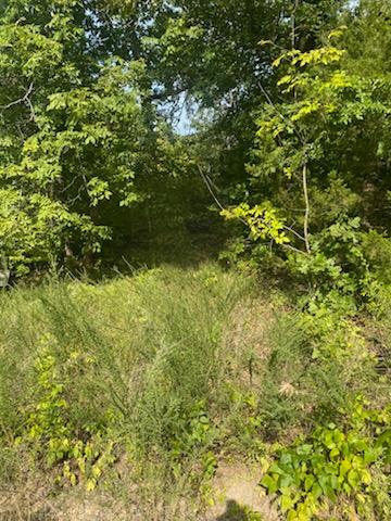 S Maple Drive Park Hill OK Land | 0.12 Acre | Owner Financing