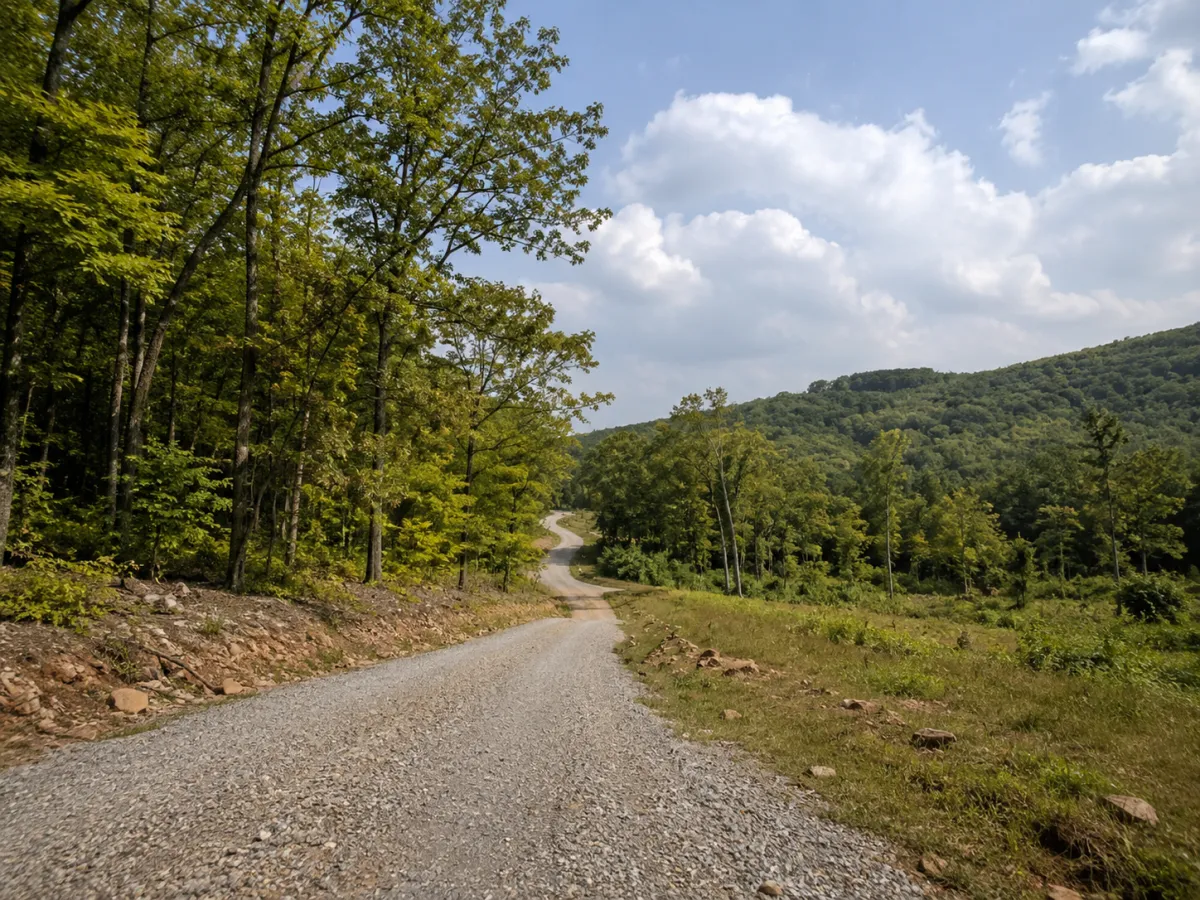 Rural Arkansas land search with wooded property and road access
