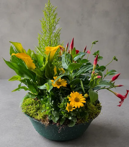 Fleuriste