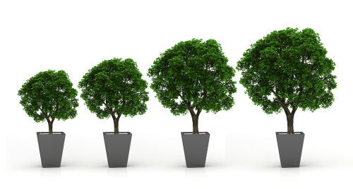 Your business, growing step by step — with the right funding behind it.