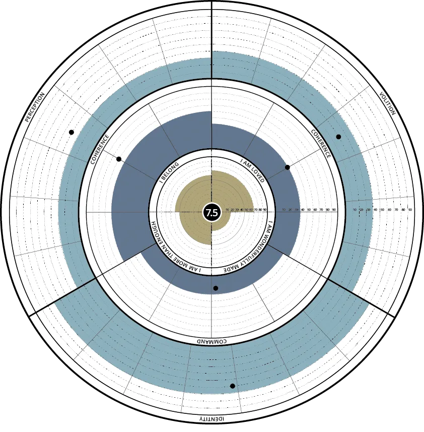 Diagram of Soulscapes 360 Circumplex Graph