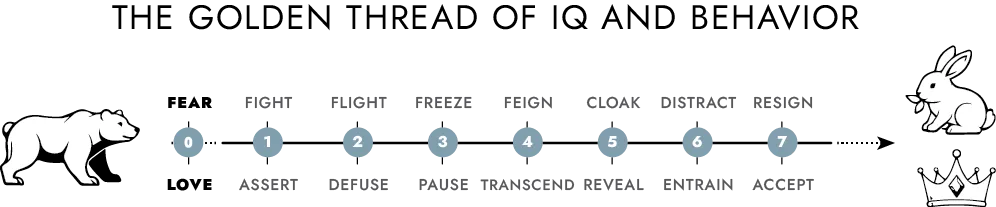 Diagram of Tracing Your Steps Tool