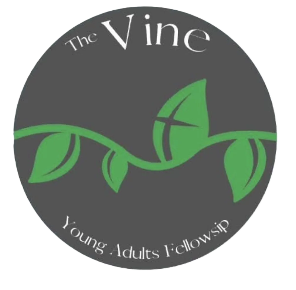 Vine Fellowship