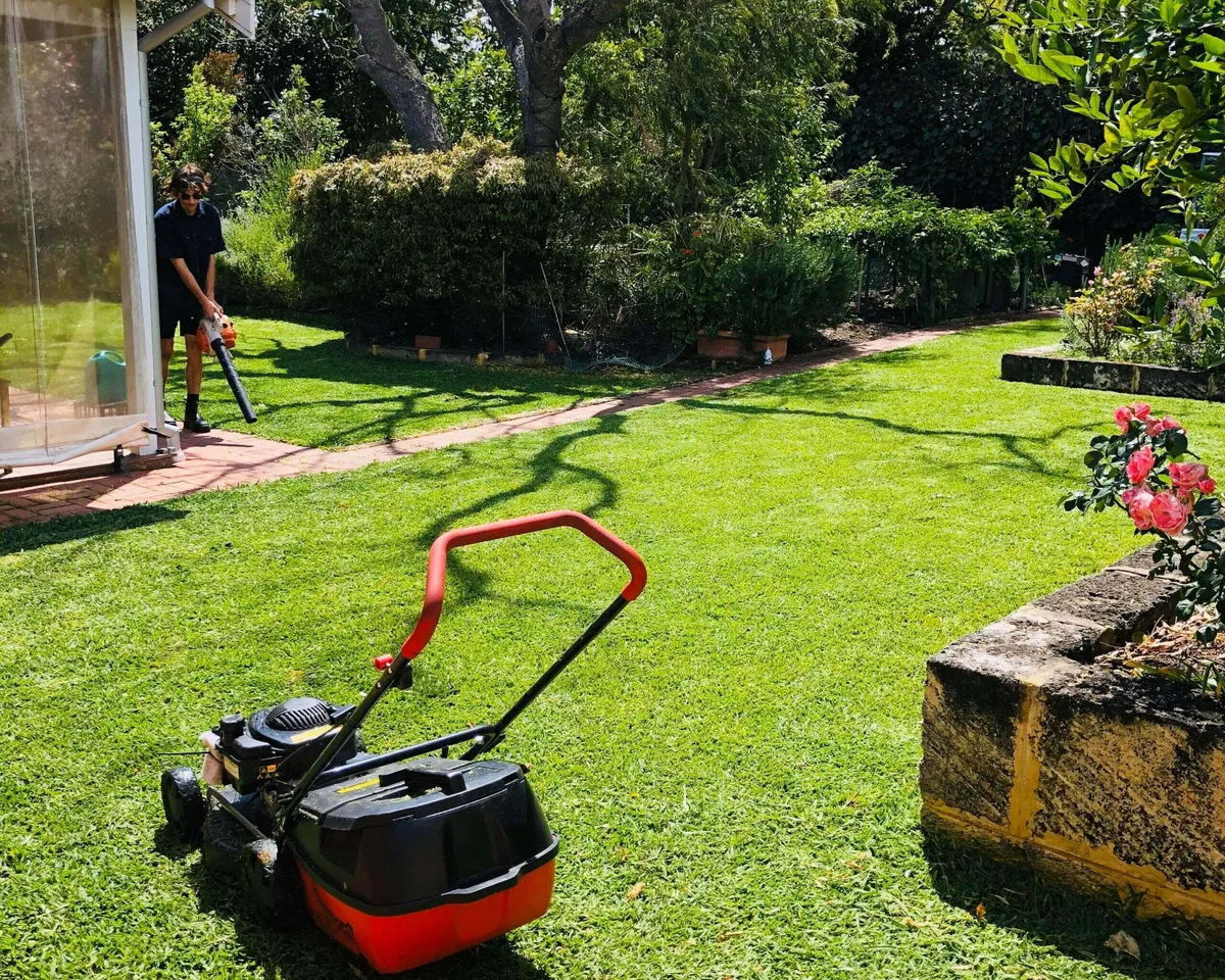 Perth garden care by All Round Gardens
