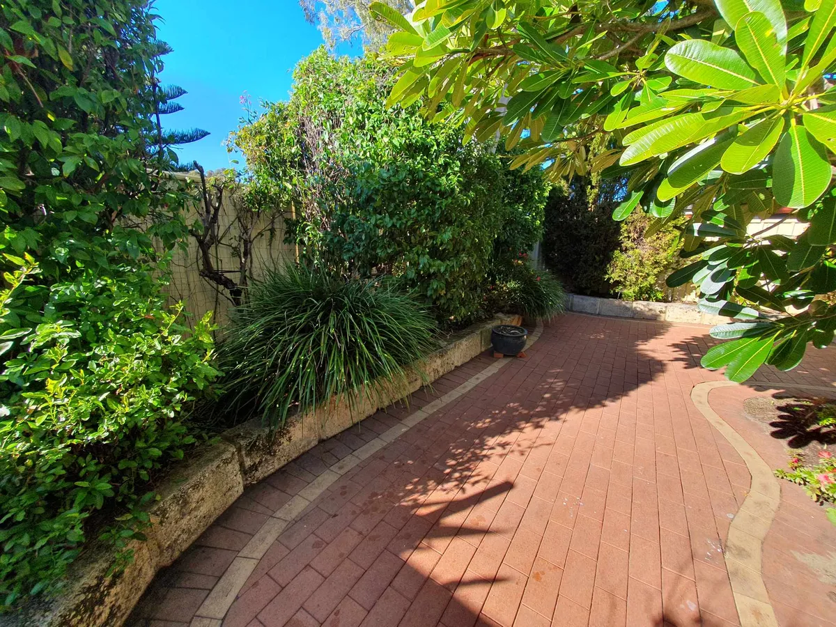 Garden cared for by All Round Gardens