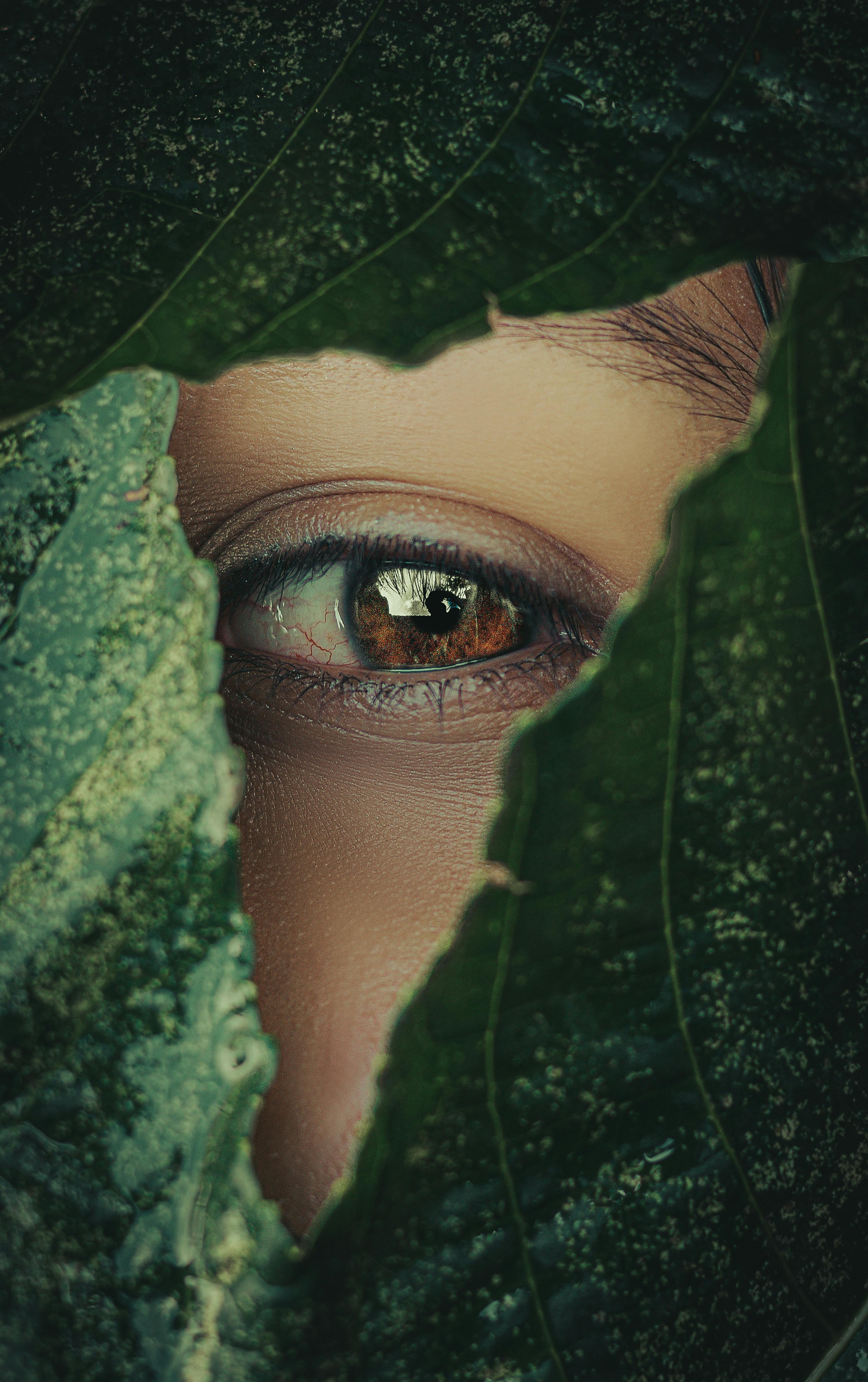 Melanie Sawford - The Intueri Project