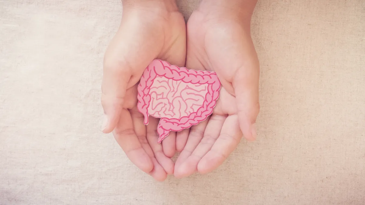 The Gut-Brain Axis Explained: How Gut Health Influences Mood and Mental Health