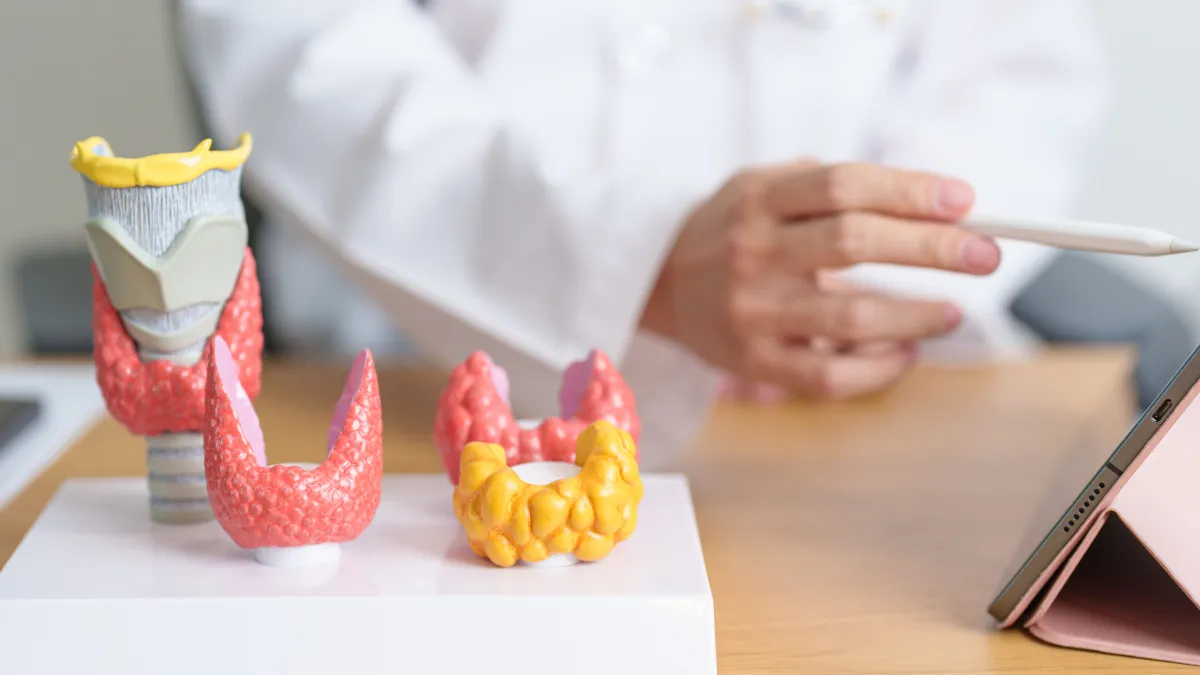 Hashimoto’s and Chronic Inflammation: How Autoimmune Thyroid Disease Affects the Body