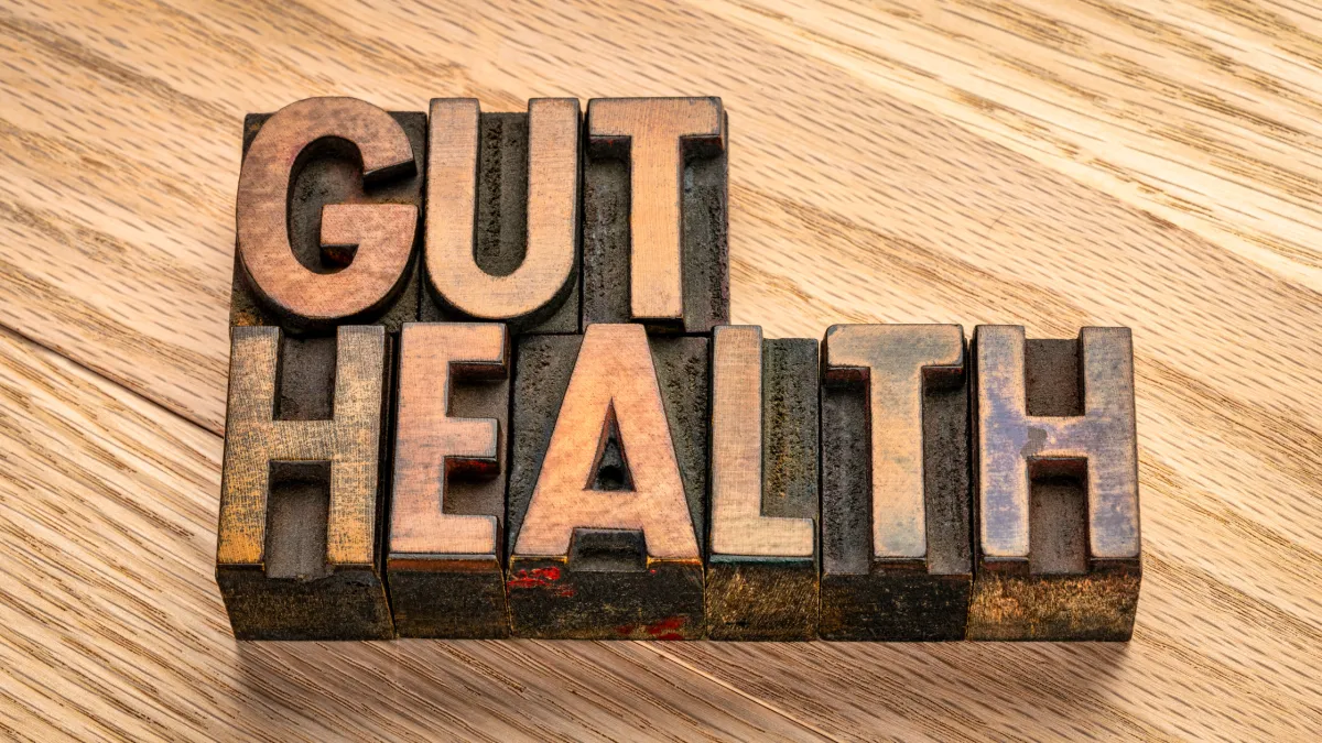 The GLP-1 and Gut Microbiome Connection: Is Your Medication Reshaping Your Internal Ecosystem?