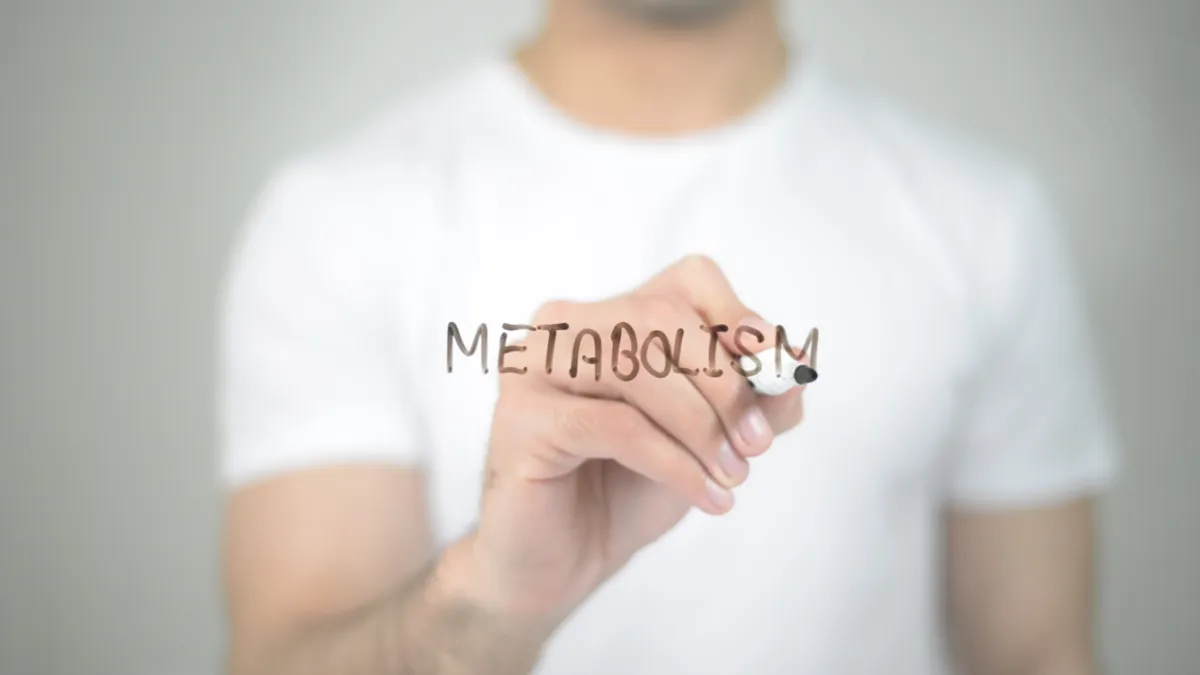 5 Metabolism Facts Most People Miss: Why "Eat Less, Move More" Is Failing You