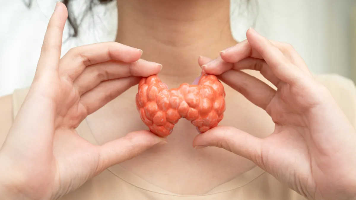 The Connection Between Thyroid Health and Hormone Balance