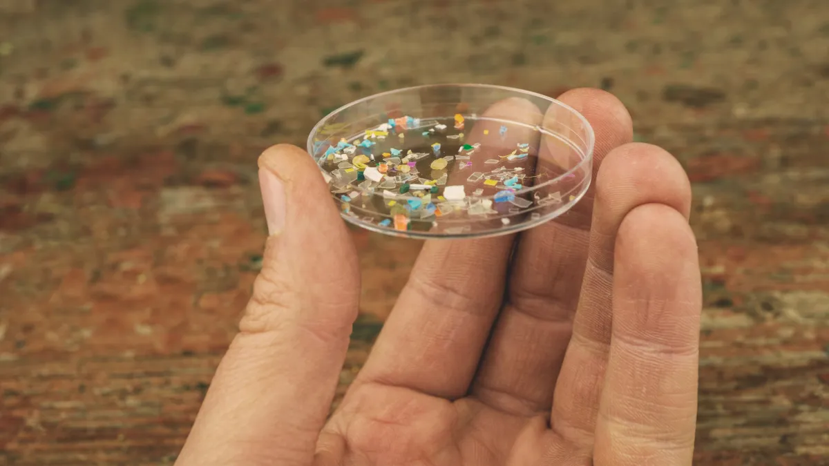 Can Microplastics Affect Gut Health? What the Research Shows