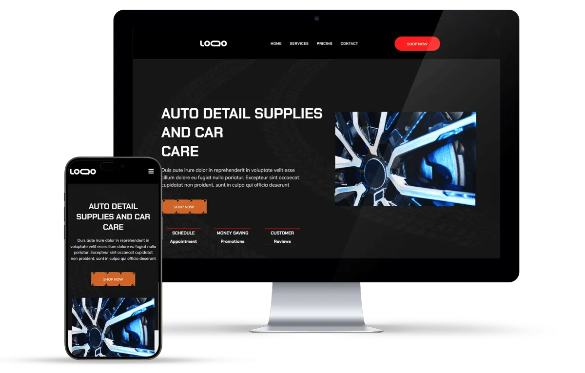 Responsive website design for auto detailing supplies and car care business