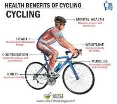 Pedal Your Way to Better Health: The Physical & Mental Benefits of Cycling