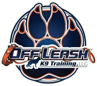 Digital Marketing for dog trainers by Northbroad.co